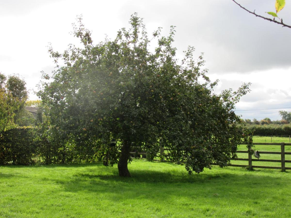 Weston Hill Farm Panzió Moreton Pinkney Kültér fotó